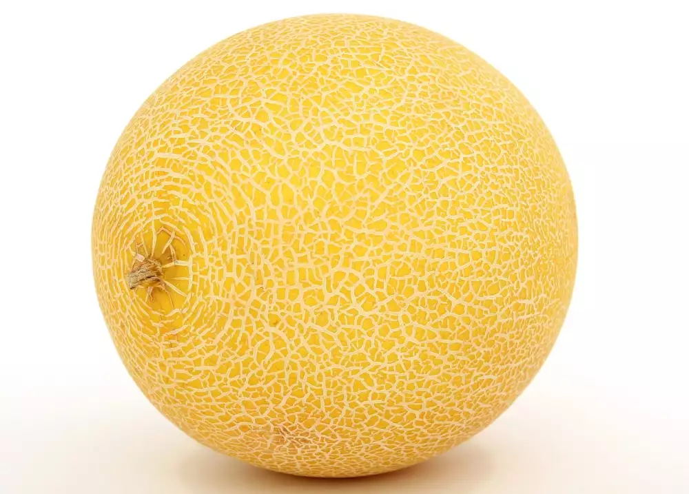 Žlutý Meloun